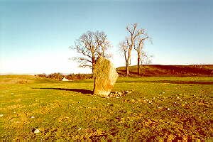 Mayburgh Henge henges Megaliths English Cumbrian Ancient history druides stone circles King Arthurs Round Table Penrith 