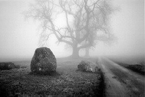 Stone Circles